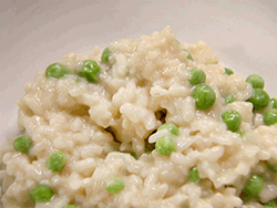 White Rice