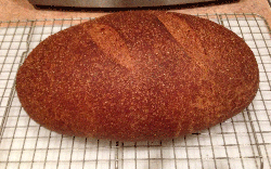 German Rye Bread