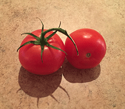 Vine Ripe Tomatoes